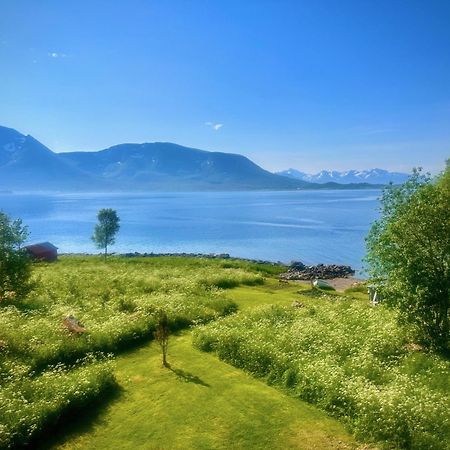 Villa House By The Sea Sortland Esterno foto