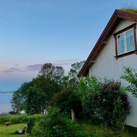 Villa House By The Sea Sortland Esterno foto