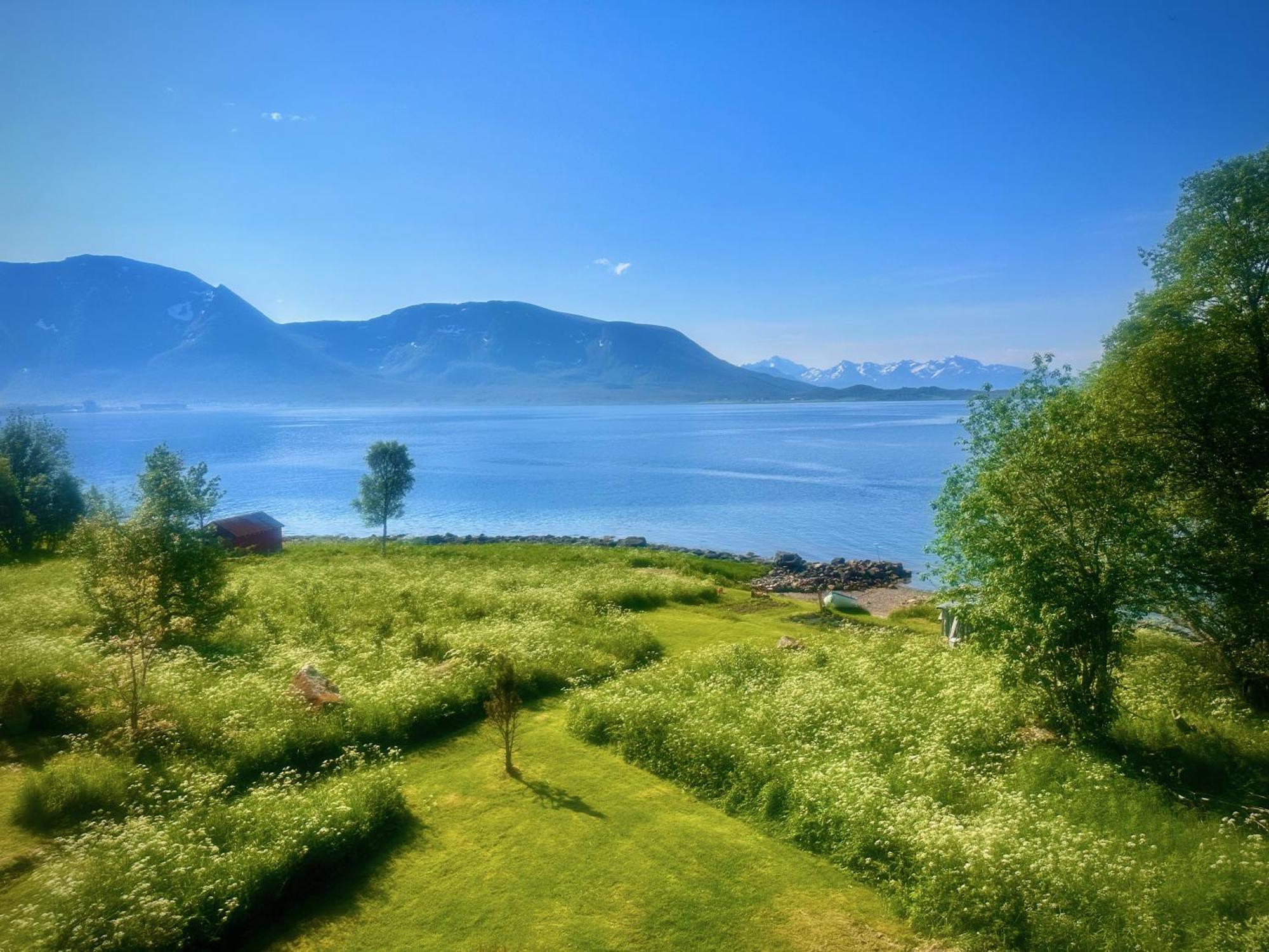 Villa House By The Sea Sortland Esterno foto