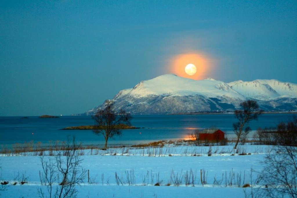 Villa House By The Sea Sortland Esterno foto