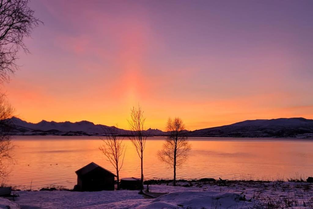 Villa House By The Sea Sortland Esterno foto