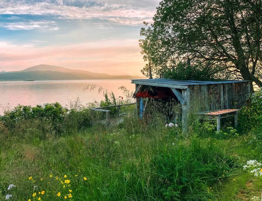 Villa House By The Sea Sortland Esterno foto