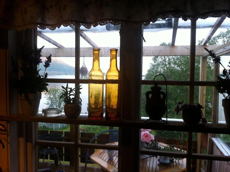 Villa House By The Sea Sortland Esterno foto