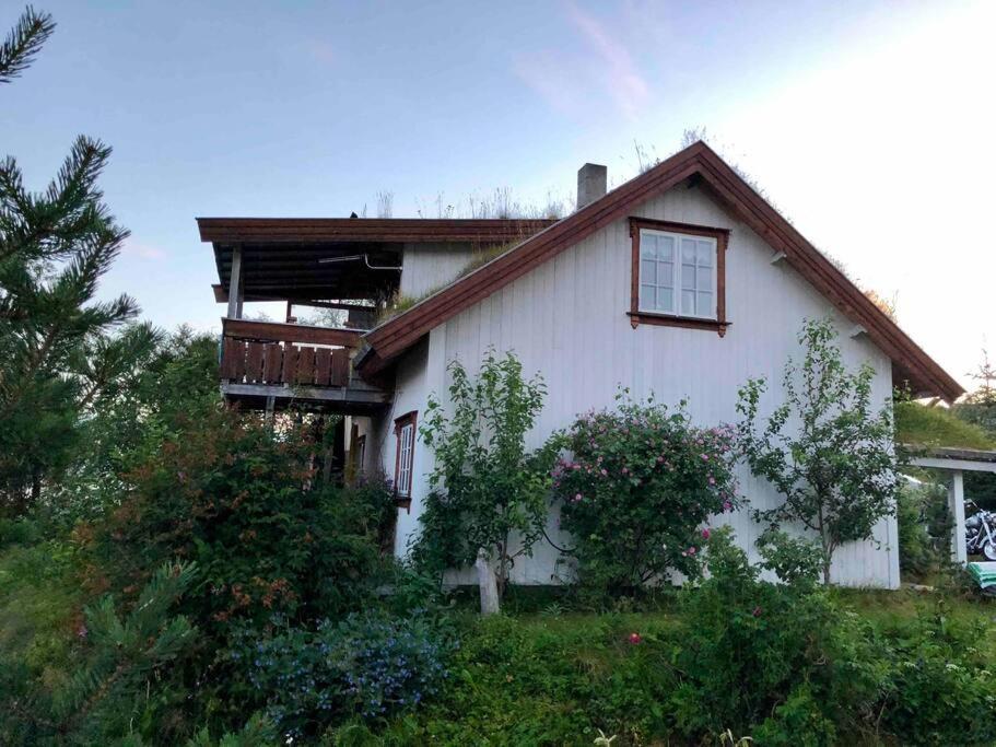 Villa House By The Sea Sortland Esterno foto